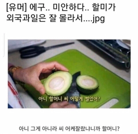 avo.jpg